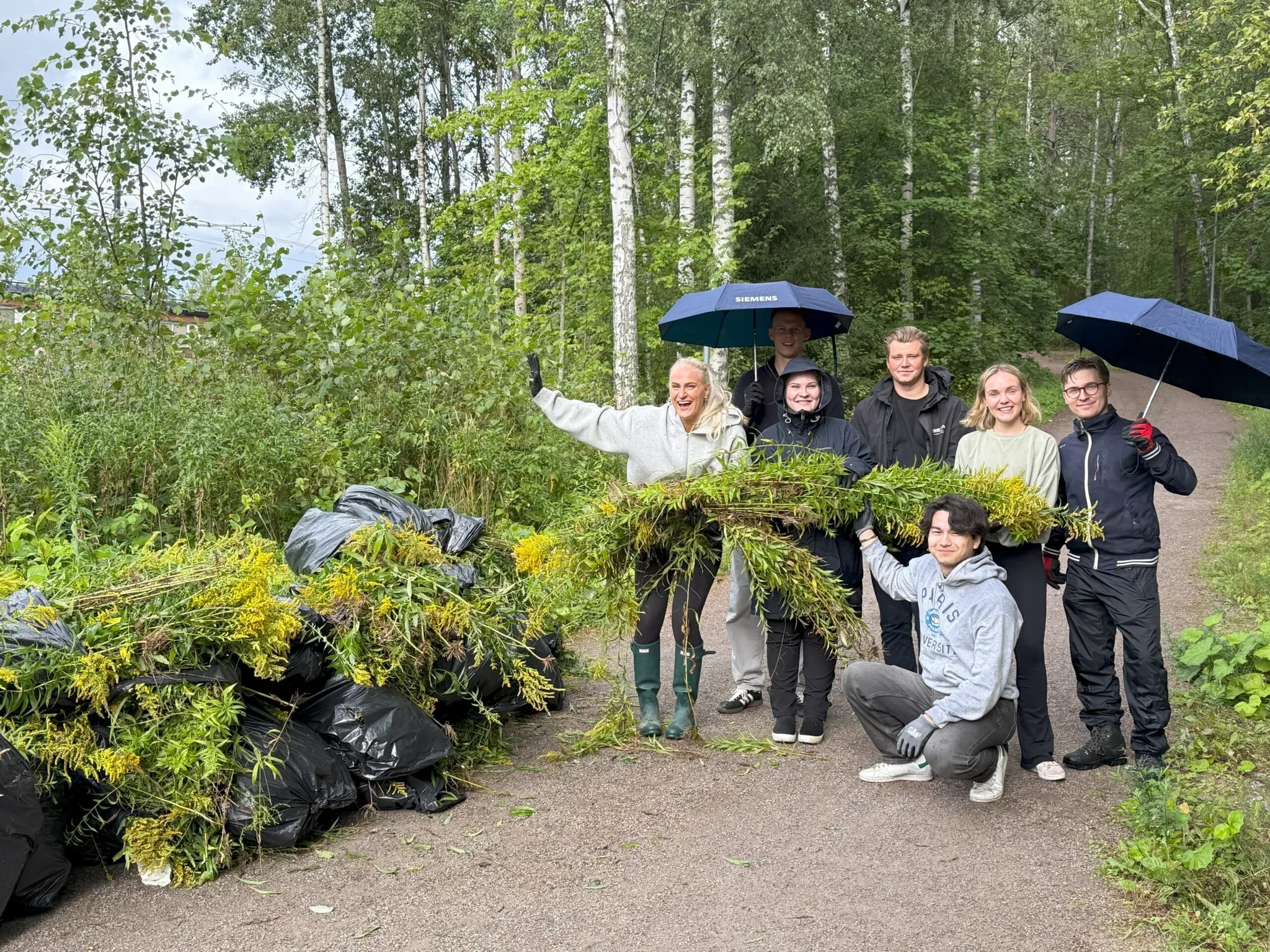Vapaaehtoisryhmä talkoilee luonnossa vieraslajien poistossa